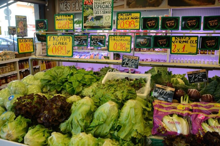 Exploring the World of Cross-Border Shopping