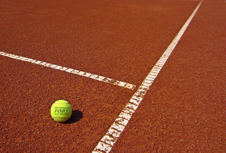 Cricket and Social Media: Influencer Marketing, Fan Engagement, and Brand Building