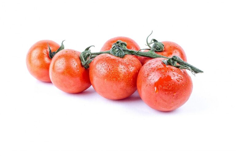 Sustainable Packaging Solutions: Reducing Waste in the Shopping Industry