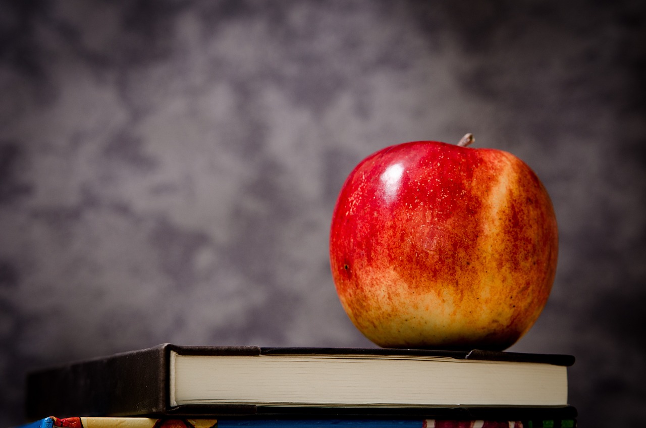 The Role of Charter Schools in Promoting Lifelong Learning: Betbhai book, Cricbet99 login, Diamondexch9 login