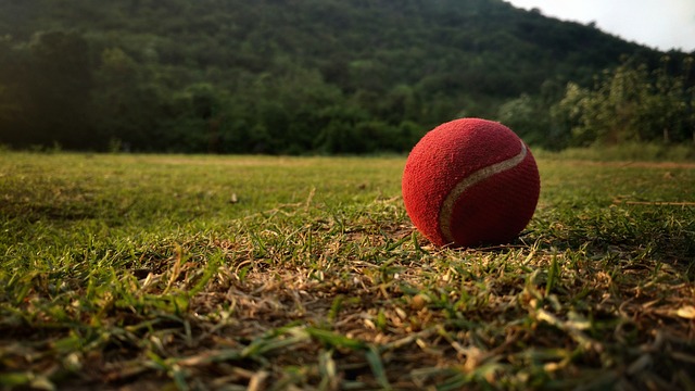 How to Create a Balanced Cricket Game Economy: Laser247, Gold365, 11xplay
